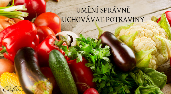 UMĚNÍ-SPRÁVNĚ-UCHOVÁVAT-POTRAVINY